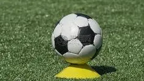 黄磊孙莉夫妇未就多多被退学传闻发声，网友热议