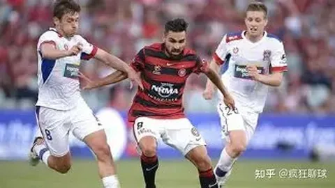 开宝体育 产品 114953 c1o