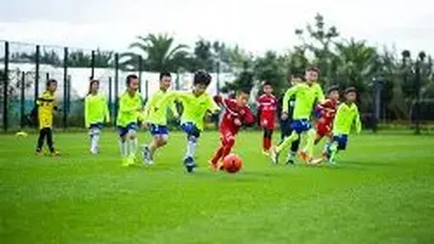 【奢华之痛：阿森纳VIP尊享之旅引争议，工薪球迷望尘莫及的昂贵体验】