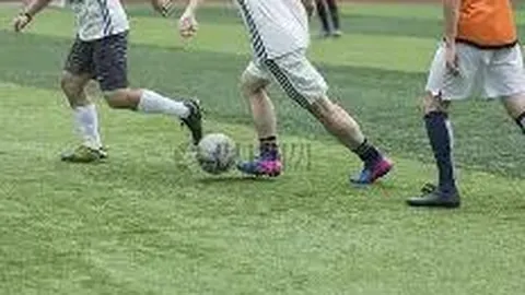 开宝体育 产品 095715 243